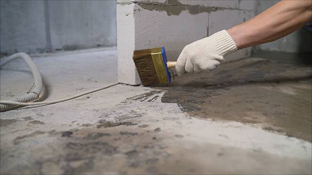SJ Waterproofing Pros Waterproofing coverage map for Grandview, IL and surrounding area